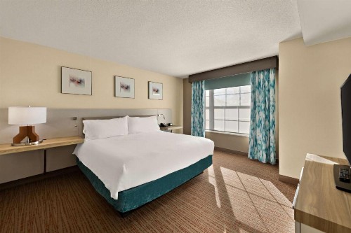 Hilton Garden Inn Williamsburg - image 46