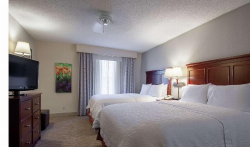 Hampton Inn & Suites Williamsburg-Richmond Road - image 23