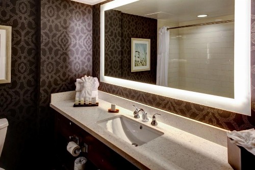 Embassy Suites Williamsburg - image 21