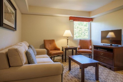 Bluegreen Vacations Patrick Henry Sqr Ascend Resort Collection - image 24