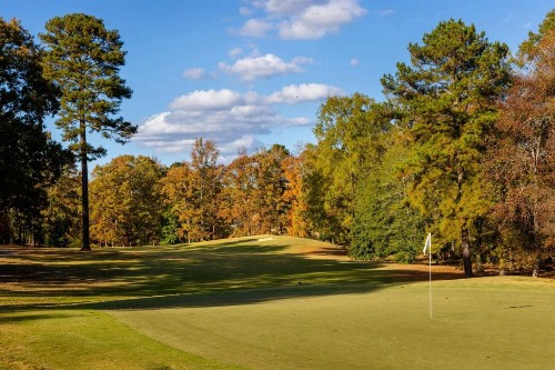 Marriott's Manor Club at Ford's Colony - image 33