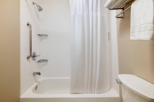 SpringHill Suites by Marriott Williamsburg - image 10