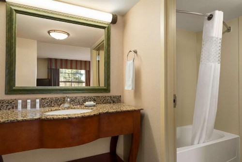 Hampton Inn & Suites Williamsburg-Central - image 15