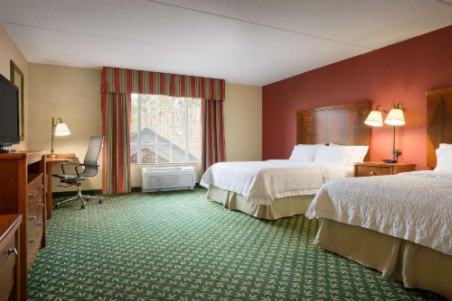 Hampton Inn & Suites Williamsburg-Central - image 16
