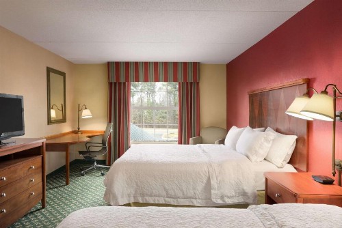 Hampton Inn & Suites Williamsburg-Central - image 26