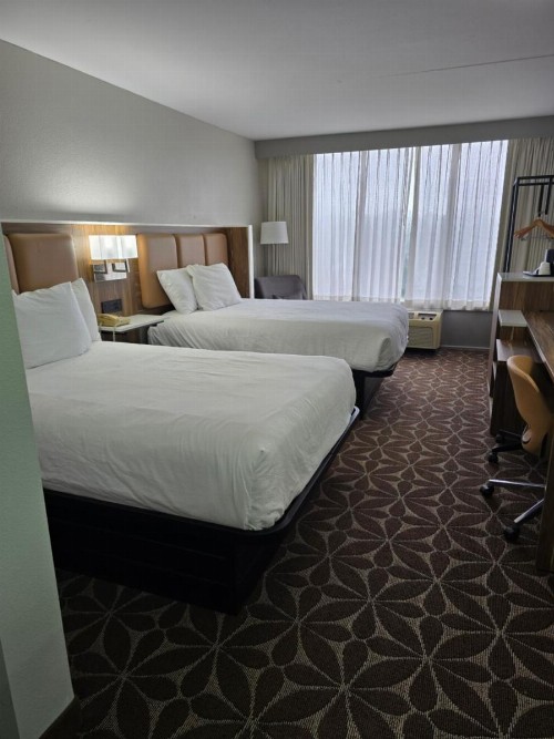 Wyndham Garden Williamsburg Busch Gardens Area - image 2