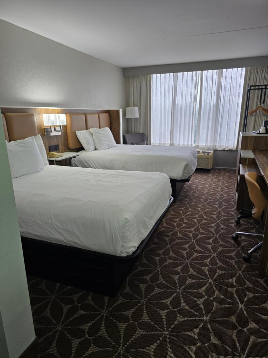 Wyndham Garden Williamsburg Busch Gardens Area - image 2