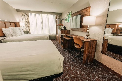 Wyndham Garden Williamsburg Busch Gardens Area - image 30