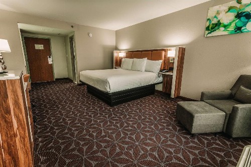 Wyndham Garden Williamsburg Busch Gardens Area - image 34