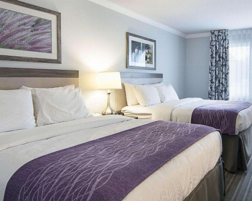Comfort Inn Williamsburg Gateway - image 13