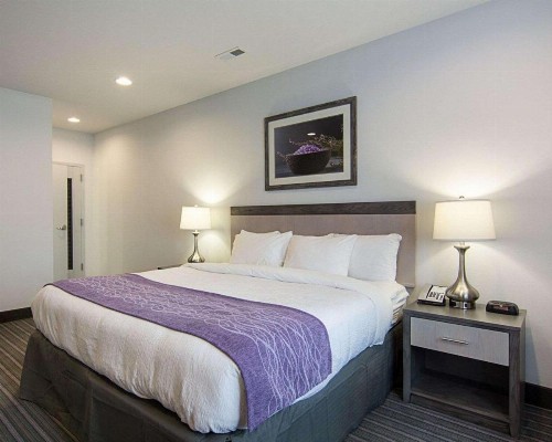 Comfort Inn Williamsburg Gateway - image 21
