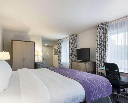 Comfort Inn Williamsburg Gateway - image 9