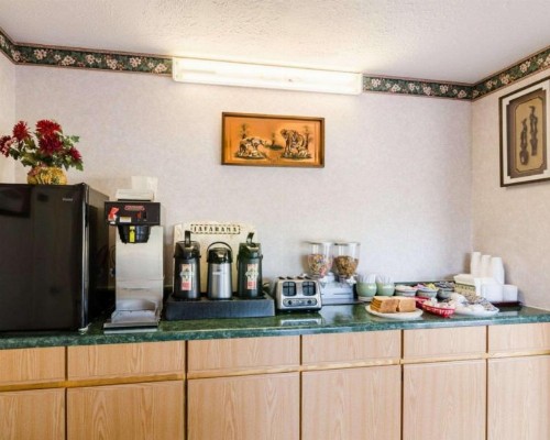 Econo Lodge Pottery - image 6