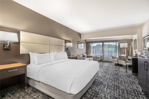 Doubletree by Hilton Hotel Williamsburg - image 32