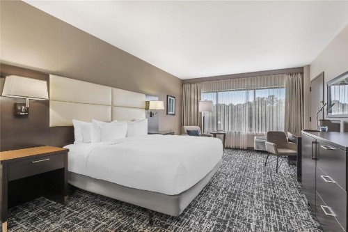 Doubletree by Hilton Hotel Williamsburg - image 38