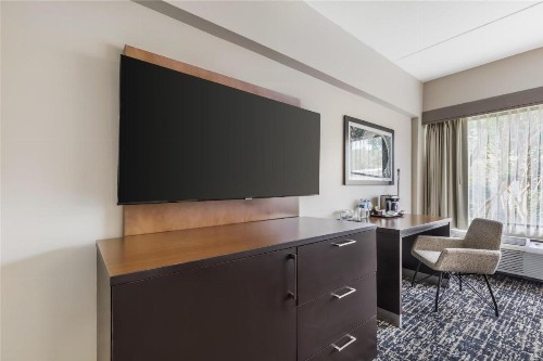 Doubletree by Hilton Hotel Williamsburg - image 43