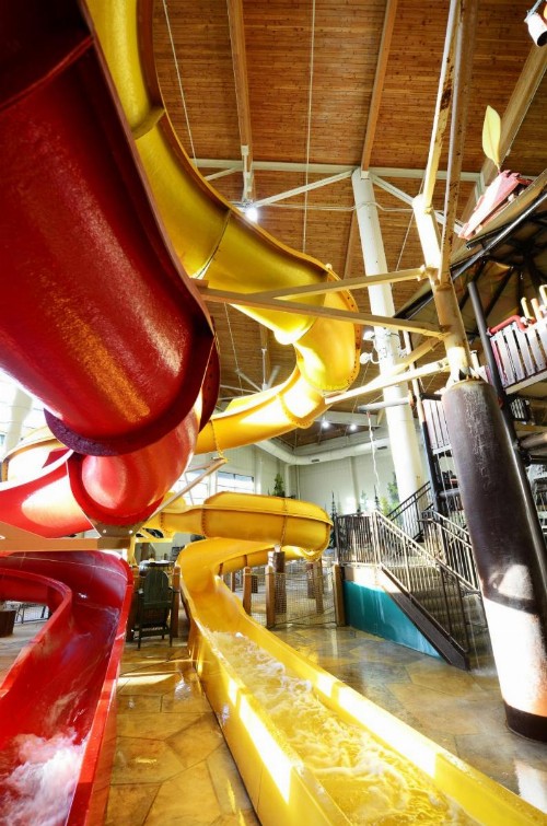 Great Wolf Lodge Williamsburg - image 6