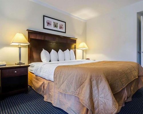 Rodeway Inn & Suites Williamsburg Central - image 15