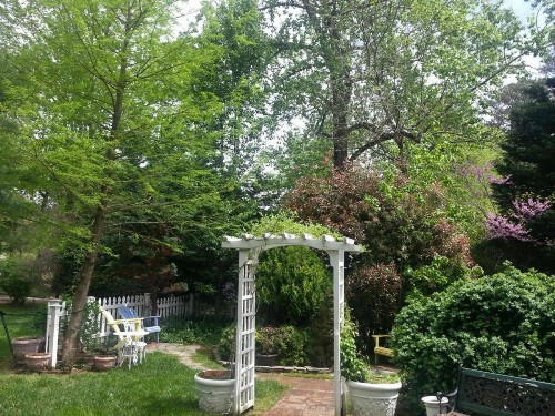 A Williamsburg White House Inn - image 32