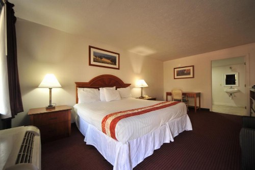 Motel Zuma - image 8