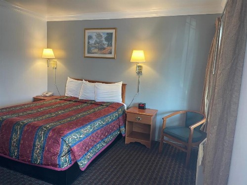 Lark Motel Willits - image 14