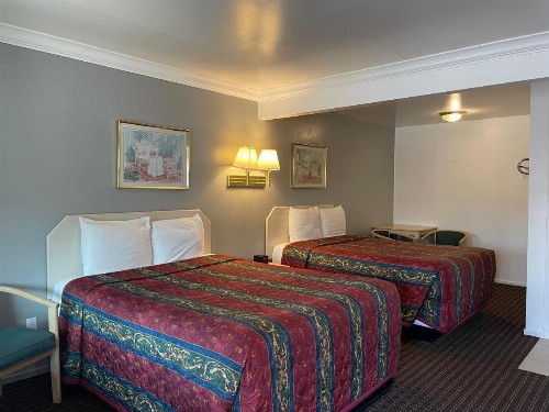 Lark Motel Willits - image 18