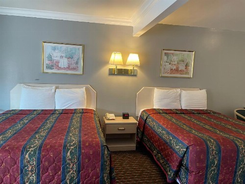 Lark Motel Willits - image 19