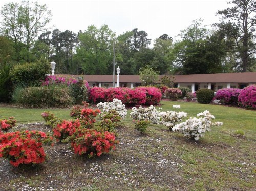 Azalea Inn & Suites - image 1