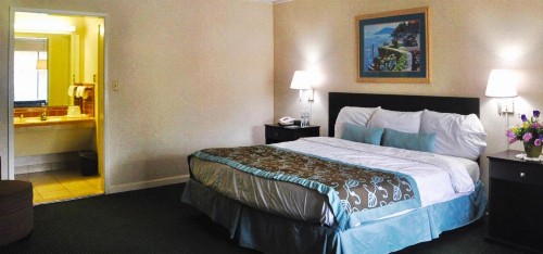 Azalea Inn & Suites - image 10