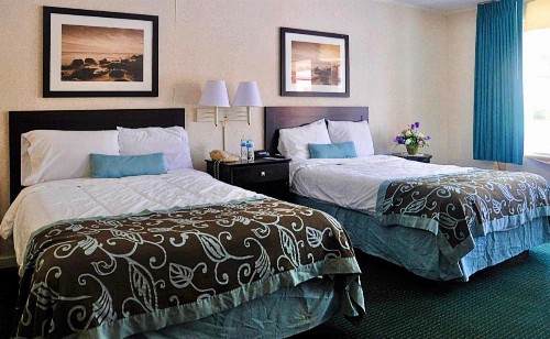 Azalea Inn & Suites - image 11