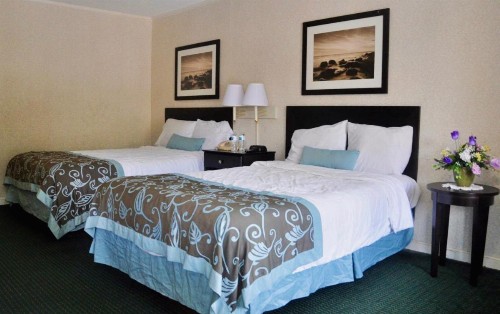 Azalea Inn & Suites - image 12
