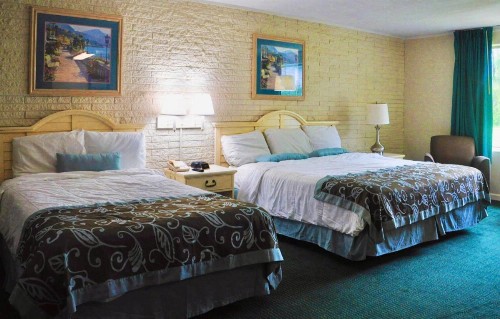 Azalea Inn & Suites - image 14