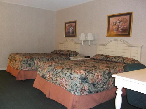 Azalea Inn & Suites - image 18
