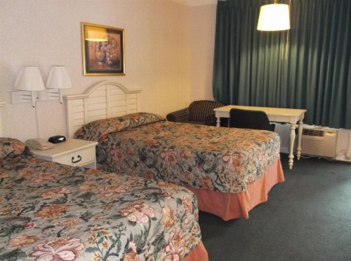 Azalea Inn & Suites - image 19