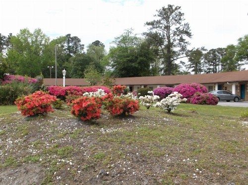 Azalea Inn & Suites - image 21
