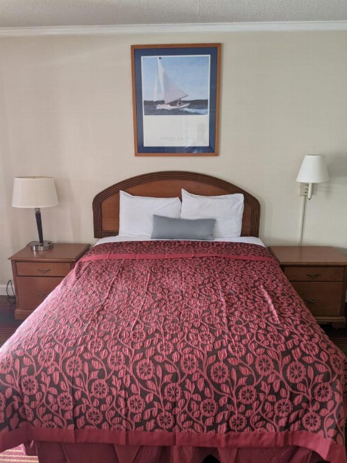 Azalea Inn & Suites - image 4