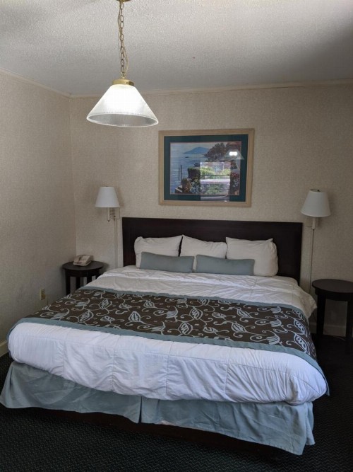 Azalea Inn & Suites - image 8