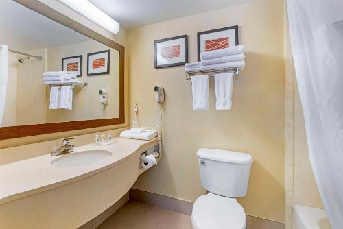 Comfort Suites Wilmington near Downtown - image 10