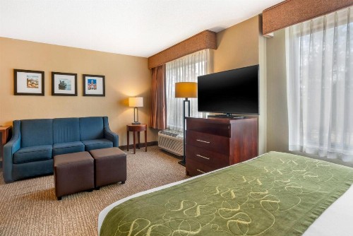 Comfort Suites Wilmington near Downtown - image 27