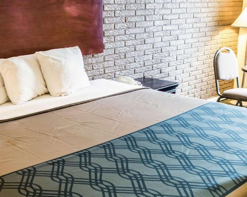 Rodeway Inn & Suites Wilmington North - image 8