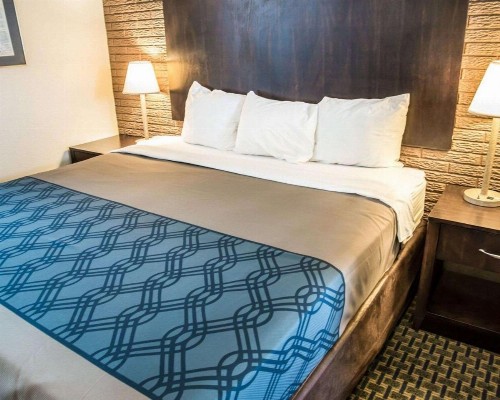Rodeway Inn & Suites Wilmington North - image 9
