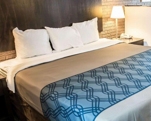 Rodeway Inn & Suites Wilmington North - image 6