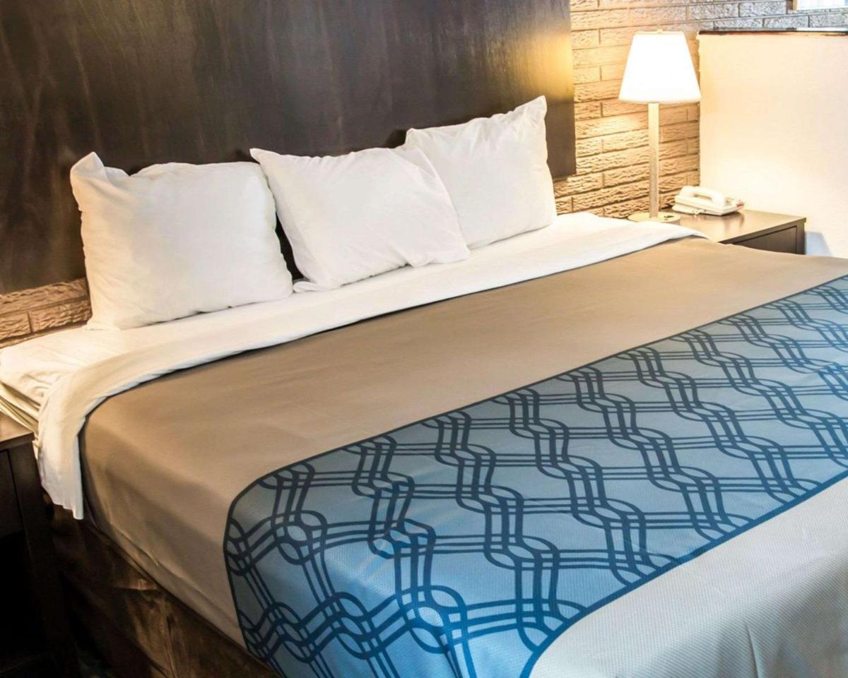 Rodeway Inn & Suites Wilmington North - image 6