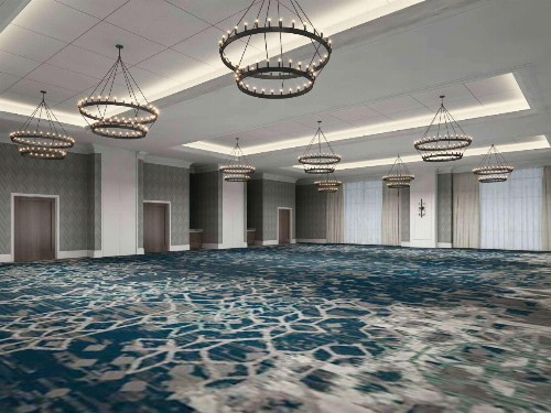 Embassy Suites By Hilton Wilmington Riverfront - image 28