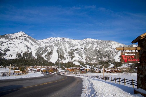 Primrose Condominiums - image 6