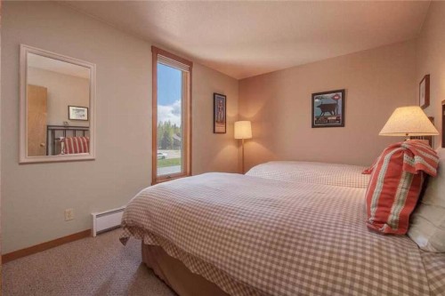Mountain Alder Condominiums - image 10