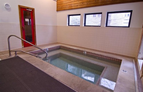 Buckwheat Condominiums - image 11
