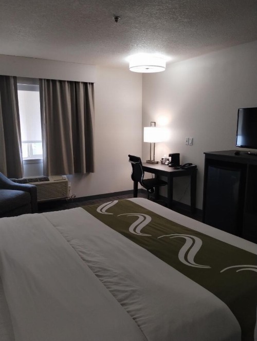 Quality Inn & Suites - image 16