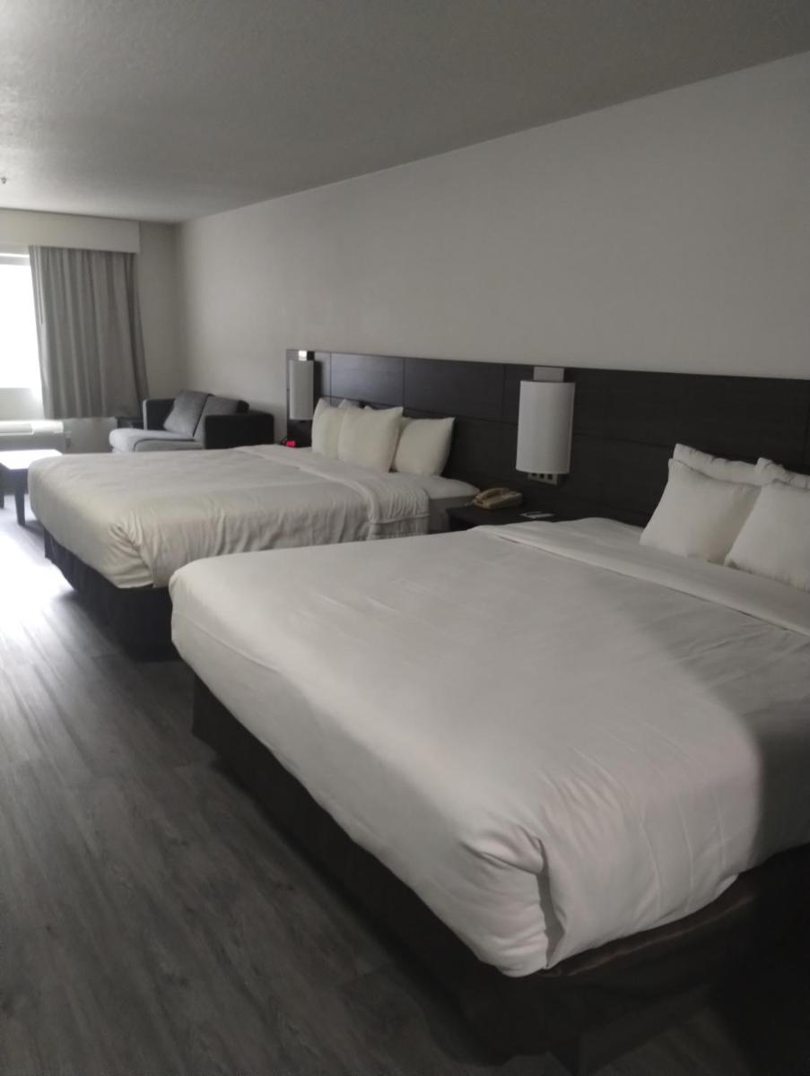 Quality Inn & Suites - image 2