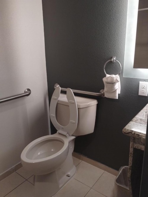 Quality Inn & Suites - image 20